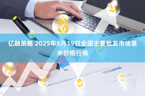 亿融策略 2025年5月19日全国主要批发市场薏米价格行情