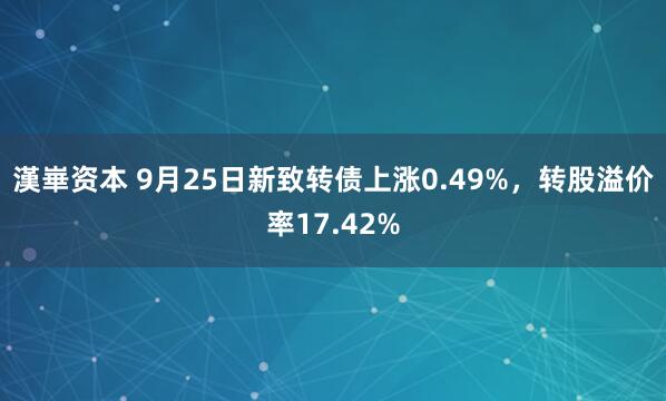 漢崋资本 9月25日新致转债上涨0.49%，转股溢价率17.42%