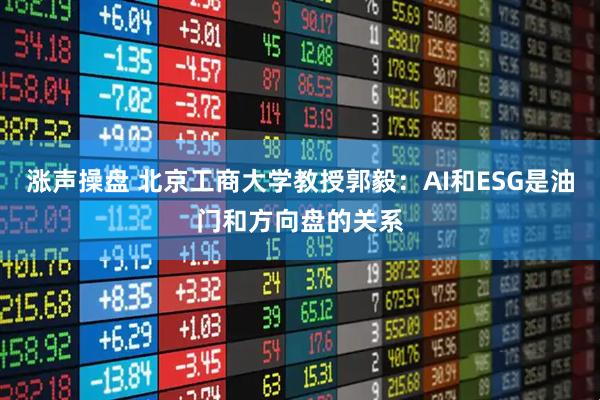 涨声操盘 北京工商大学教授郭毅：AI和ESG是油门和方向盘的关系
