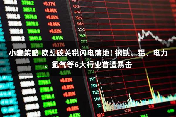 小麦策略 欧盟碳关税闪电落地! 钢铁、铝、电力、氢气等6大行业首遭暴击