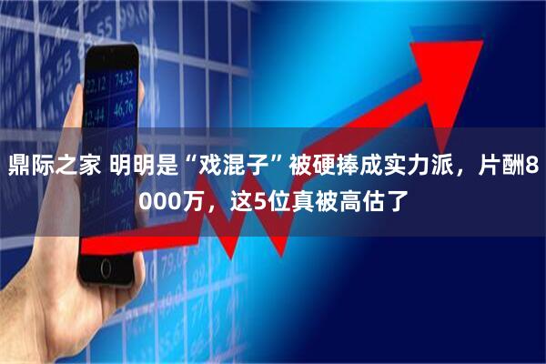 鼎际之家 明明是“戏混子”被硬捧成实力派，片酬8000万，这5位真被高估了